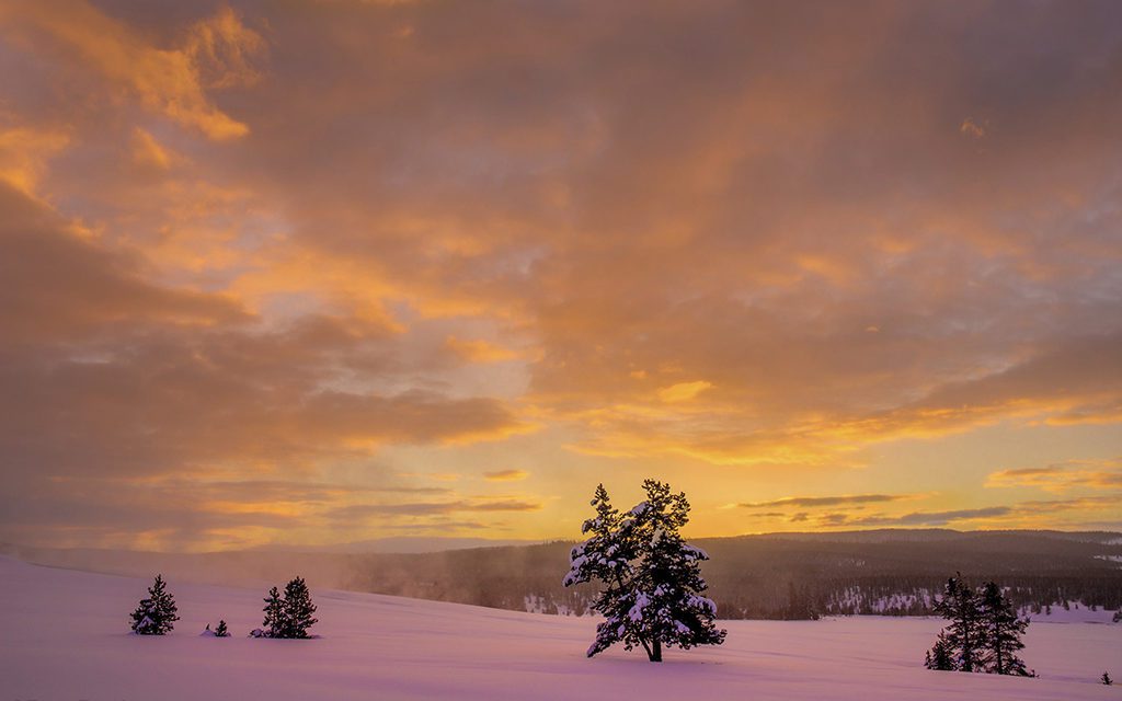 Cold And Snowy Landscape Photography