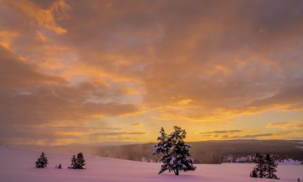 Cold And Snowy Landscape Photography