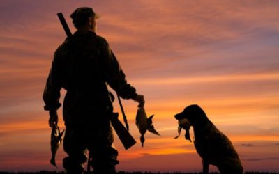 How to Approach 3 Kinds of Duck Hunting Weather Conditions