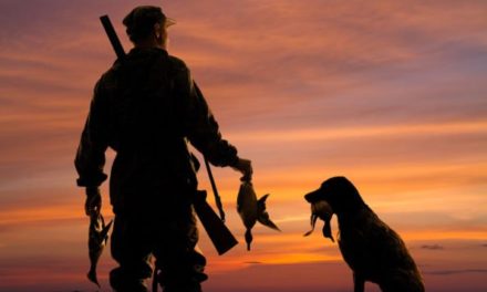 How to Approach 3 Kinds of Duck Hunting Weather Conditions