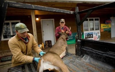 How to Care for Wild Game Before It Reaches Your Kitchen Table