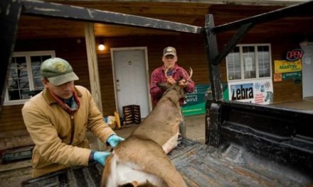 How to Care for Wild Game Before It Reaches Your Kitchen Table