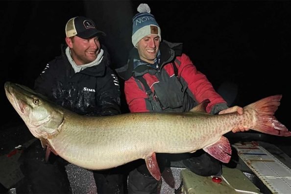 Minnesota’s 64-Year-Old Muskie State Record Could Fall to Mille Lacs Lake Giant