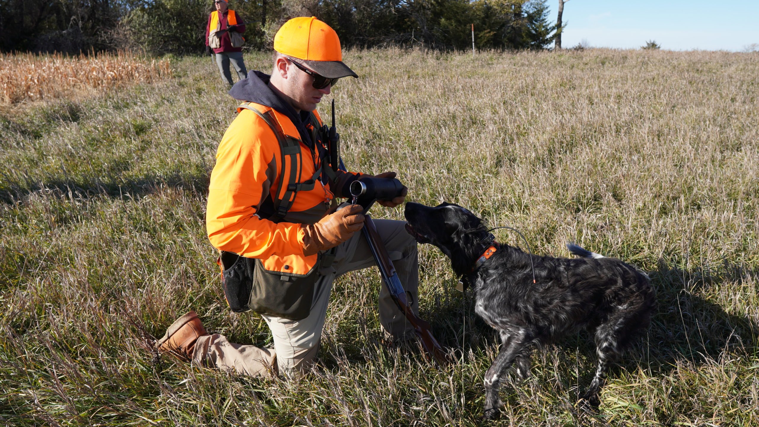 Pheasant Hunting South Dakota