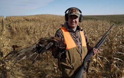 Pheasant Hunting in South Dakota: Outfitted vs DIY-Style on Public Land
