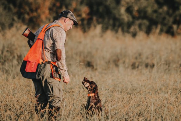 Quail Hunting: Getting Started and Finding Success