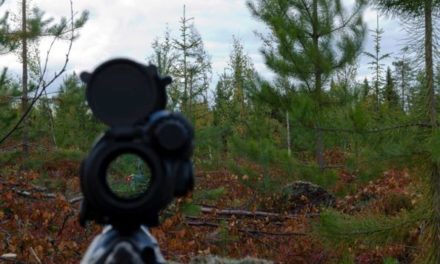 Red Dot Sights | What They Are and What They Do