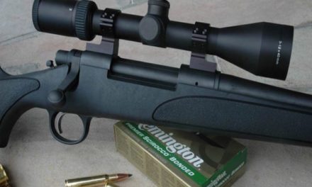 Remington 700: The History Behind the Famed Rifle