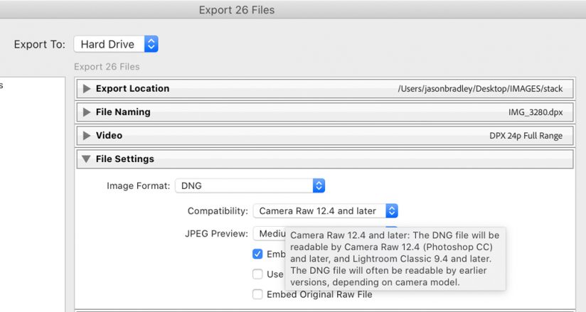 Screen shot of Lightroom's DNG export options.