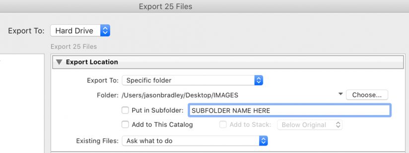 Screen shot of the Export To dropdown.