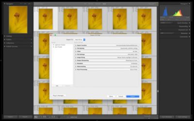 Sharing Your Photos, Part 2