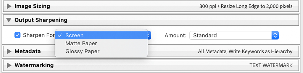 Abobe Lightroom Sharpening panel.