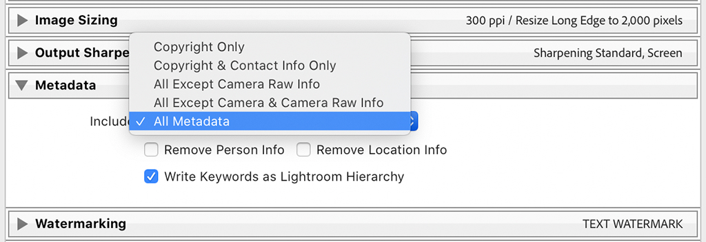 Adobe Lightroom's Metadata panel.