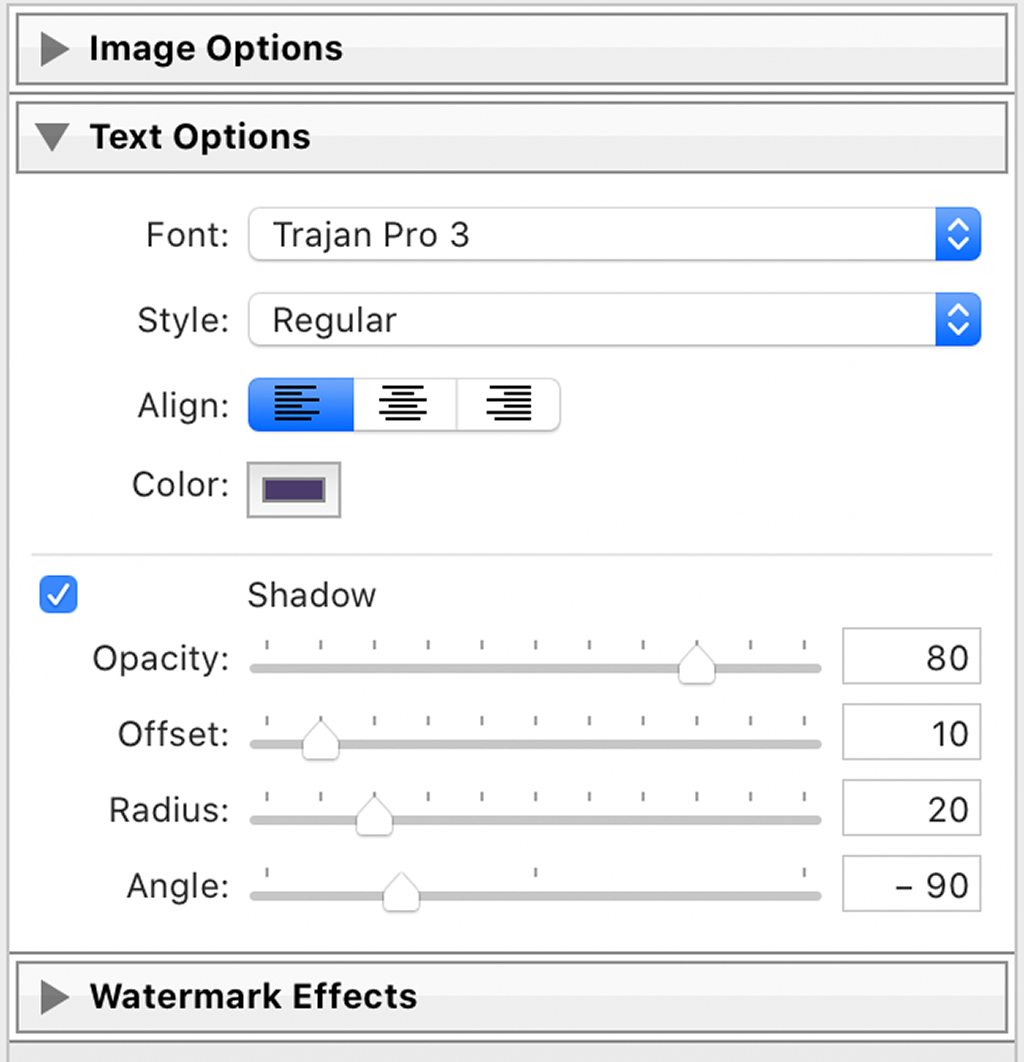 Adove Lightroom Text options panel.