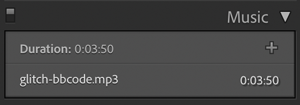 Screen shot of Lightroom's Music panel.