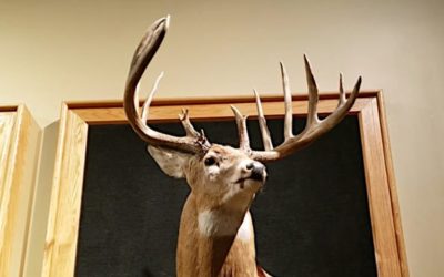 The Mel Johnson Buck: The World Record Archery Buck That Has Stood for 50+ Years and Counting
