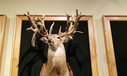 The Minnesota Monarch Buck: a Wild, Potential World Record Whitetail That Simply Disappeared