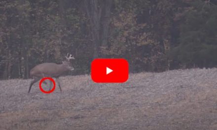 Tough, 3-Legged Michigan Buck Named Tripod Sends Hunter on Multi-Year Quest to Harvest Him