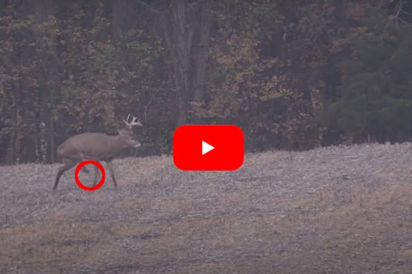 Tough, 3-Legged Michigan Buck Named Tripod Sends Hunter on Multi-Year Quest to Harvest Him