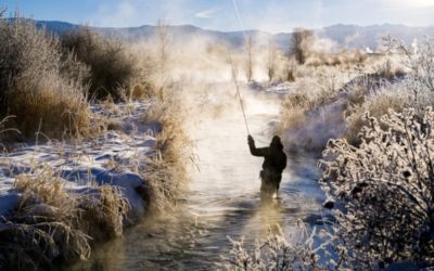 Winter Trout Fishing: How to Catch Them After the Snow Falls