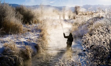 Winter Trout Fishing: How to Catch Them After the Snow Falls