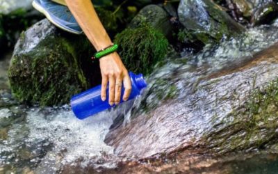 12 Best Filtered Water Bottles of 2022 + CDC Water Filter Tips
