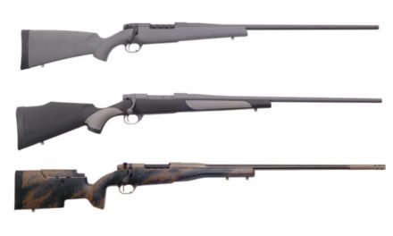 300 Weatherby Magnum: The Hard-Hitting Classic Round and 5 Rifles Chambered For It