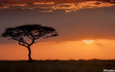 7 Quick Landscape Photography Reminders