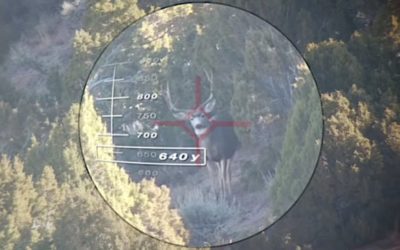 Adam LaRoche Drops Big Mule Deer With 640-Yard Shot
