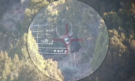 Adam LaRoche Drops Big Mule Deer With 640-Yard Shot