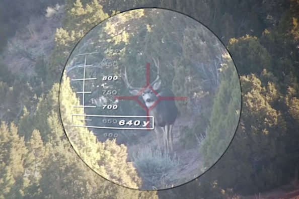 Adam LaRoche Drops Big Mule Deer With 640-Yard Shot