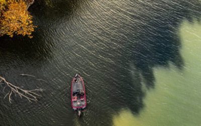 B.A.S.S. vs. MLF: Understanding the Dichotomy of Pro Bass Fishing