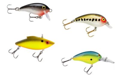 Best Crankbaits for Bass | Fishing Lure Recommendations for Anglers