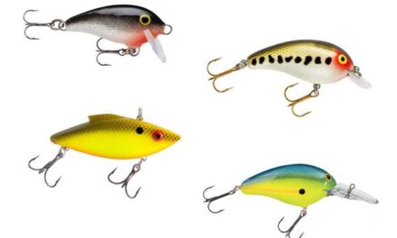 Best Crankbaits for Bass | Fishing Lure Recommendations for Anglers