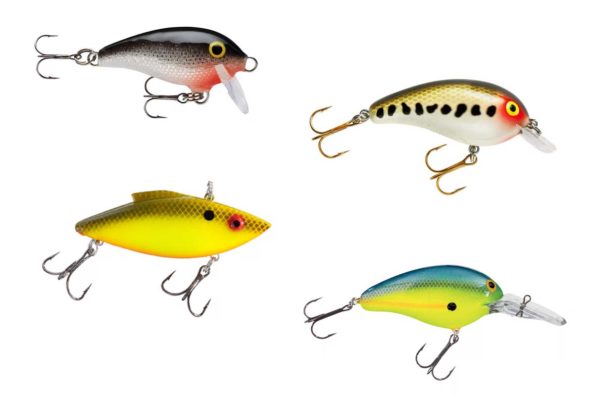 Best Crankbaits for Bass | Fishing Lure Recommendations for Anglers