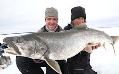 Big Manitoba Lake Trout Barely Fits Through the Hole in the Ice