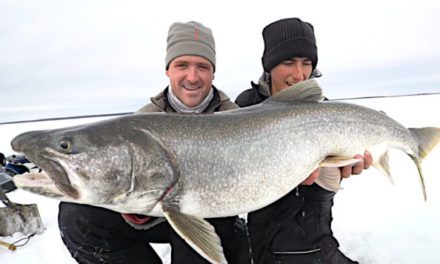Big Manitoba Lake Trout Barely Fits Through the Hole in the Ice