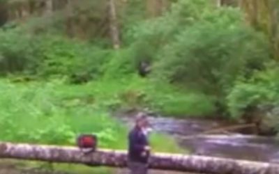 Bigfoot Theories Stem From Footage Captured By Fisherman