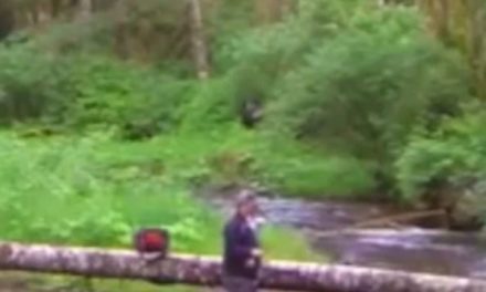 Bigfoot Theories Stem From Footage Captured By Fisherman