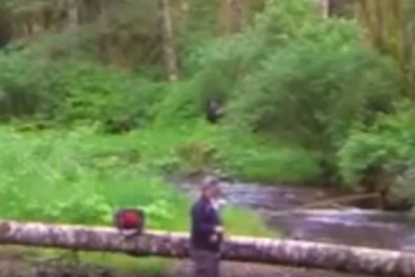 Bigfoot Theories Stem From Footage Captured By Fisherman