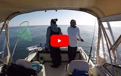 Cape Cod Anglers Hear the Otherworldly Sounds of an Earthquake at Sea