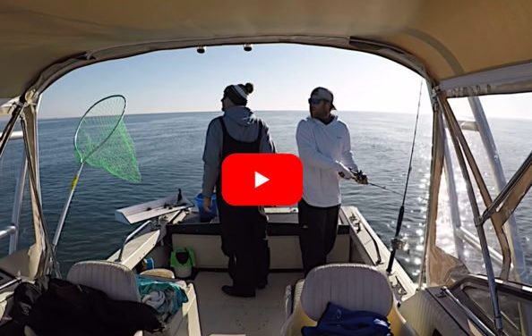 Cape Cod Anglers Hear the Otherworldly Sounds of an Earthquake at Sea