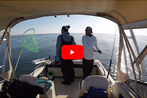 Cape Cod Anglers Hear the Otherworldly Sounds of an Earthquake at Sea