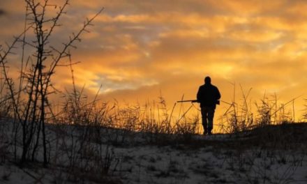 Cold Weather Hunting Gear: Essentials for Staying Toasty in the Blind or Stand