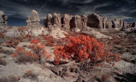 Convert A Camera To Infrared