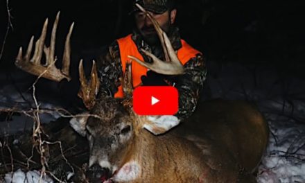 Early January Hunt Produces Giant Iowa Muzzleloader Buck for Determined Hunter