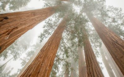 Extreme Angles Assignment Winner Beth Young