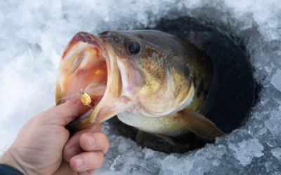 Fishing for Bass in Winter: Key Reminders and Tips for Success