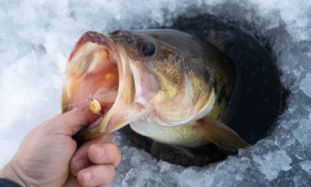 Fishing for Bass in Winter: Key Reminders and Tips for Success