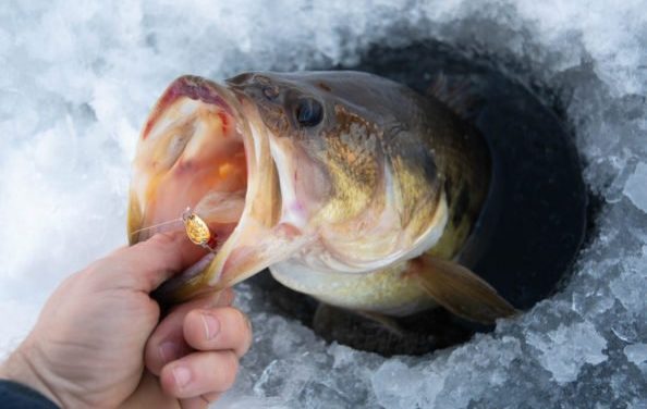 Fishing for Bass in Winter: Key Reminders and Tips for Success